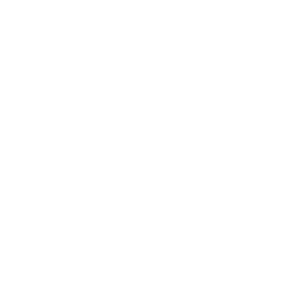 Taiyaki Spot